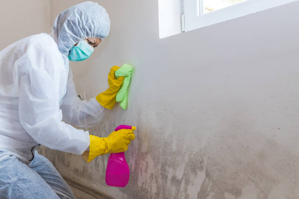 Mold Documentation for Insurance Claims in Palm Springs, CA