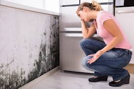 Mold Remediation for Vacation Homes in Palm Springs, CA